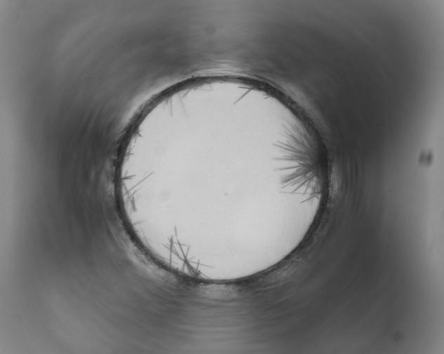 X0000110951356200907311031