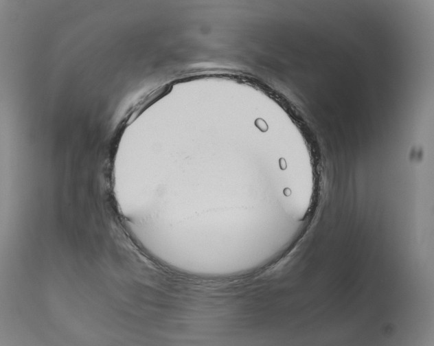 X0000110951357200907311031