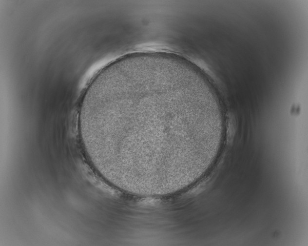 X0000110951358200907311031