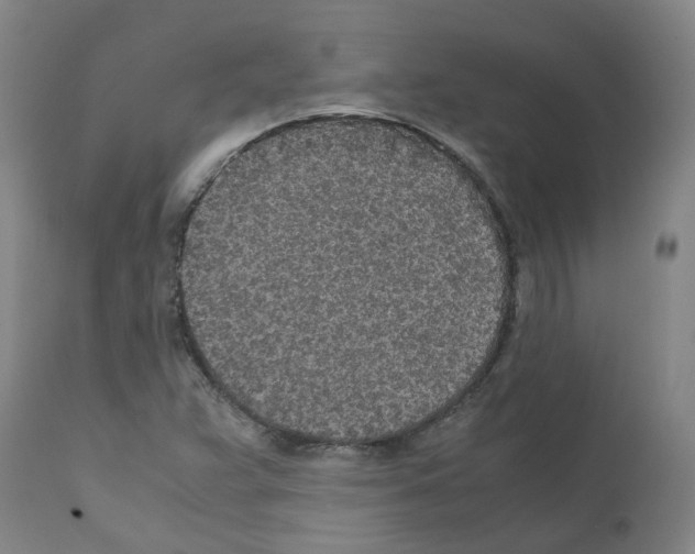 X0000110951359200907311031