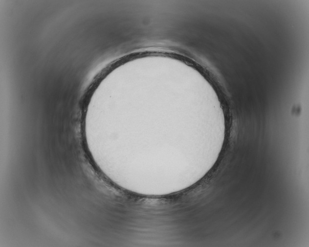 X0000110951360200907311031