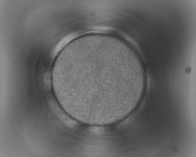 X0000110951362200907311031
