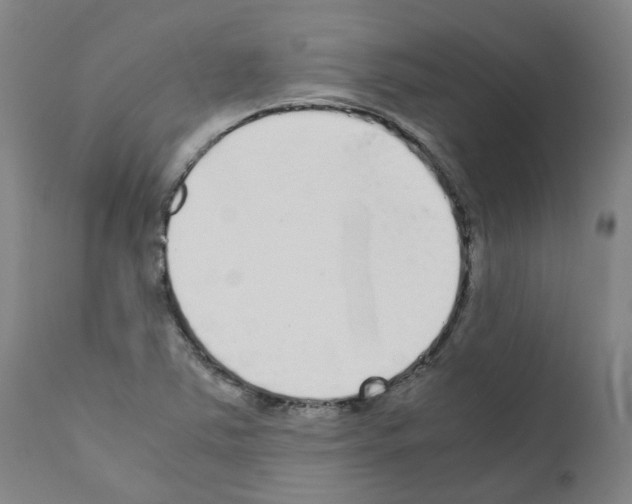 X0000110951363200907311031
