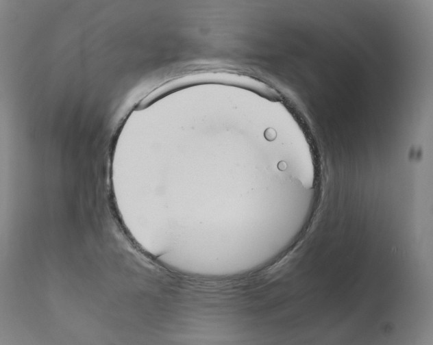 X0000110951365200907311031