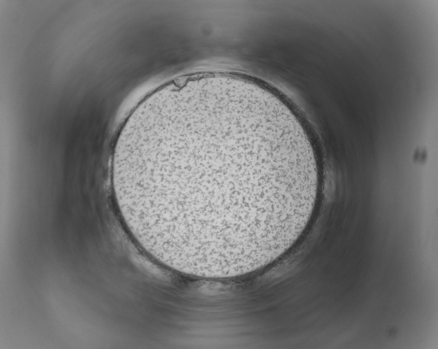 X0000110951366200907311031