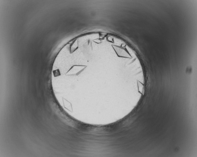 X0000110951367200907311031