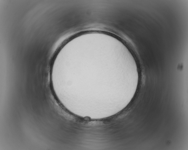 X0000110951368200907311031