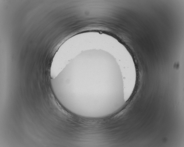 X0000110951369200907311031