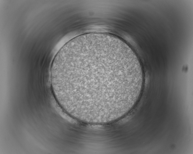 X0000110951370200907311031