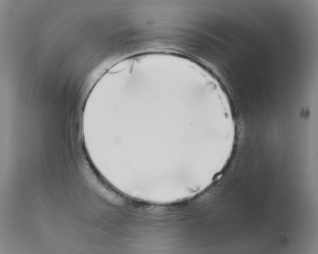 X0000110951371200907311031