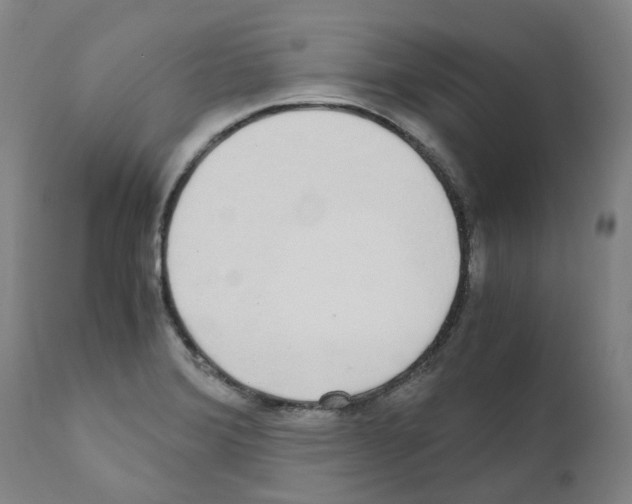 X0000110951372200907311031