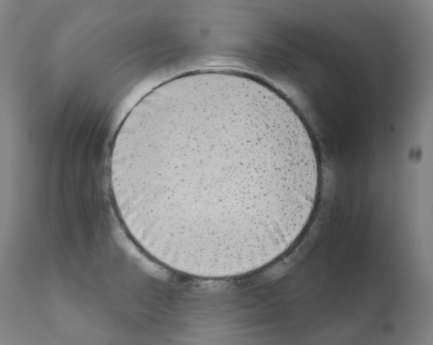 X0000110951374200907311031