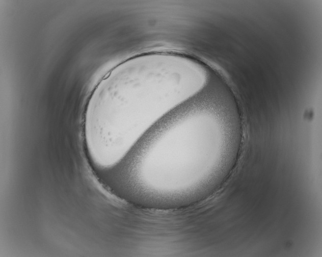 X0000110951375200907311031