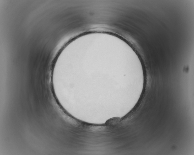 X0000110951376200907311031