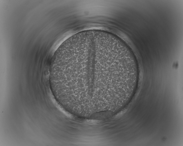 X0000110951377200907311031