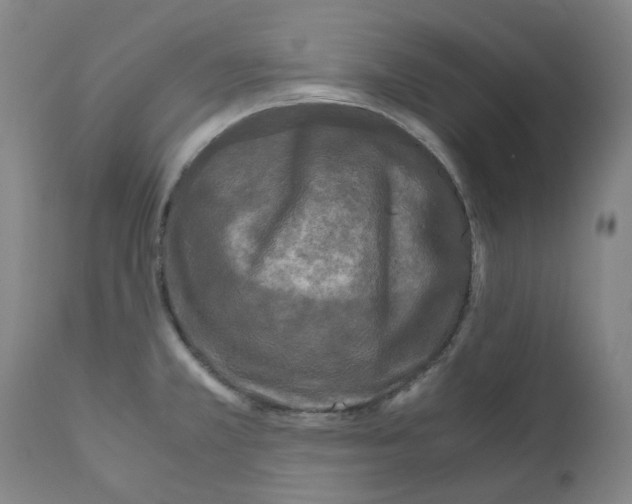 X0000110951381200907311031