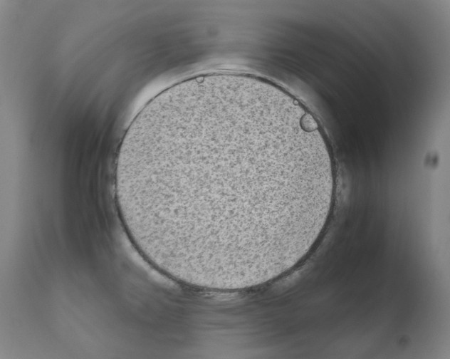 X0000110951382200907311031