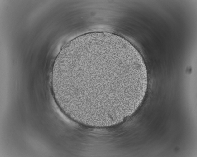 X0000110951383200907311031