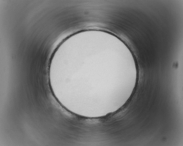 X0000110951384200907311031