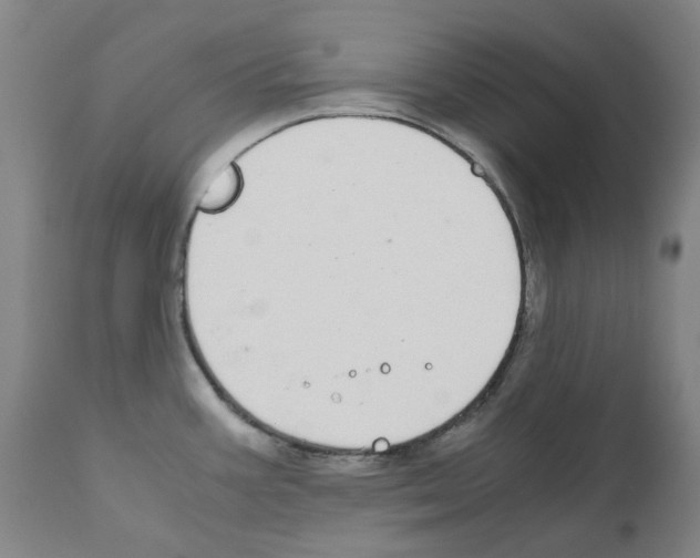 X0000110951387200907311031
