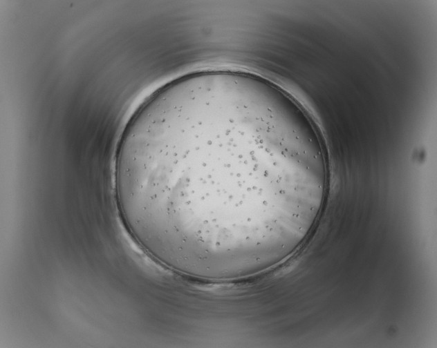 X0000110951388200907311031