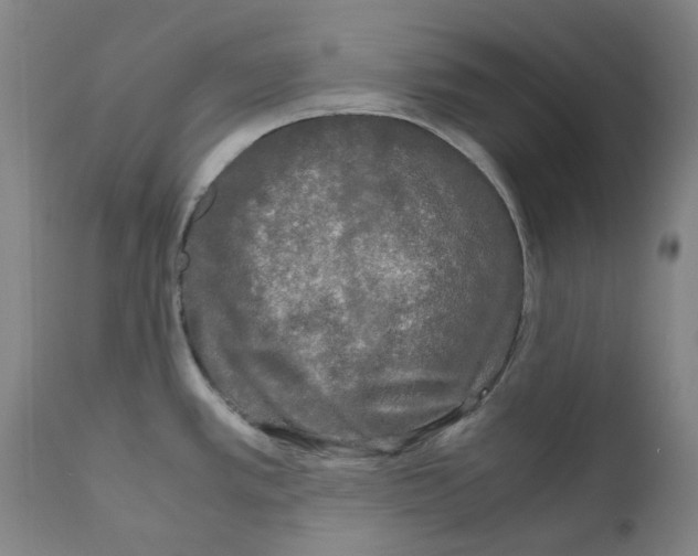 X0000110951389200907311031