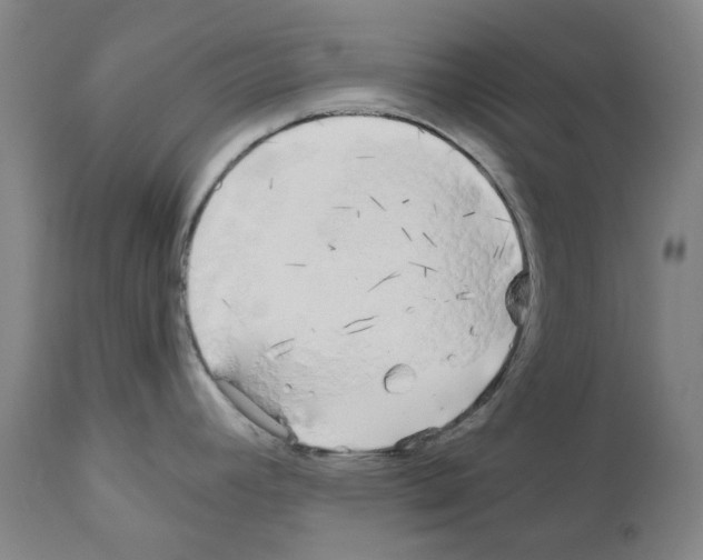 X0000110951392200907311031