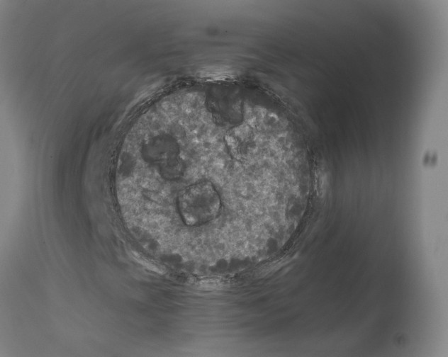 X0000110951393200907311030