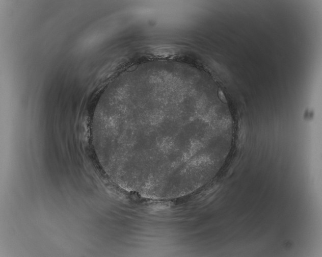 X0000110951394200907311030