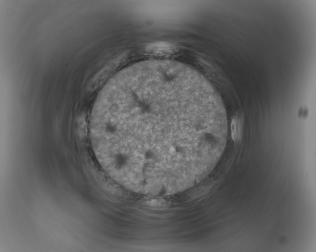 X0000110951395200907311030