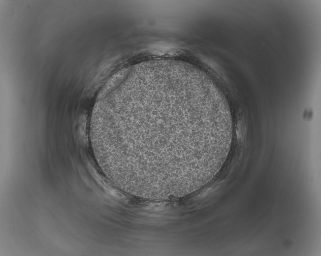 X0000110951396200907311030