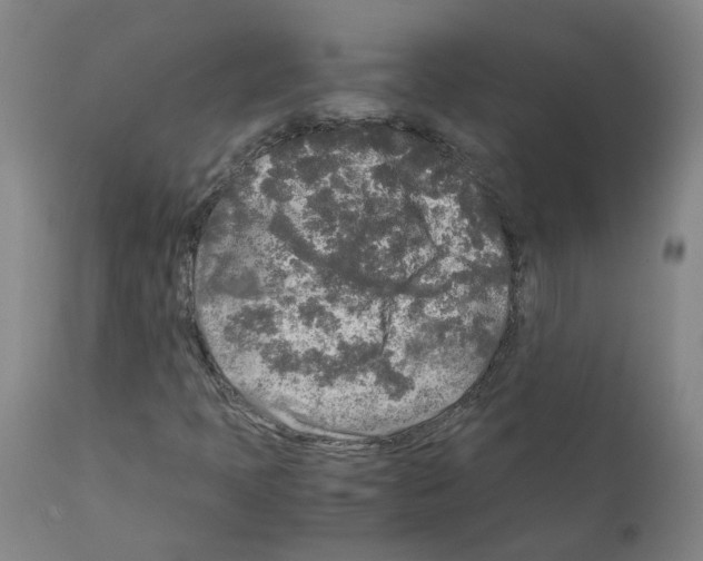 X0000110951397200907311030