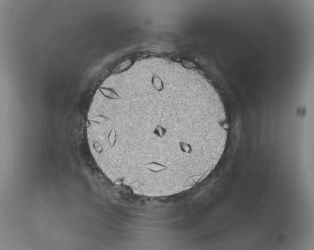 X0000110951398200907311030