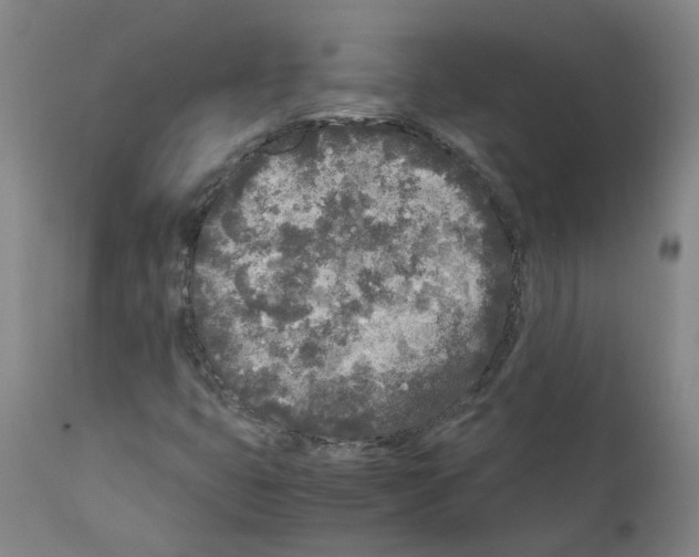 X0000110951399200907311030