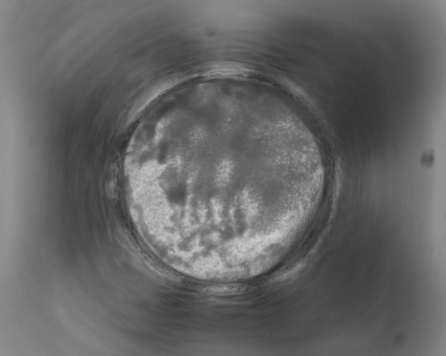 X0000110951401200907311030