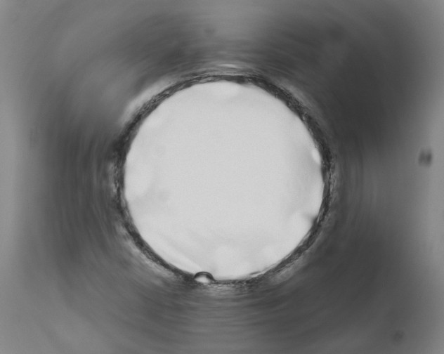X0000110951402200907311030