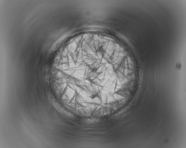 X0000110951403200907311030