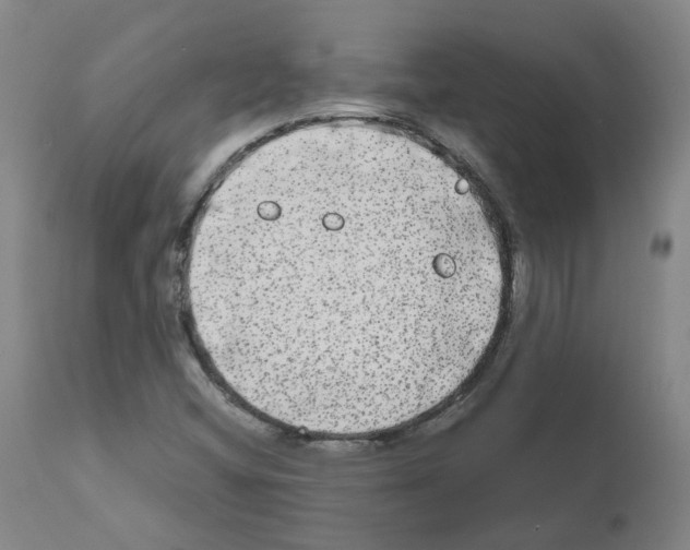 X0000110951404200907311030