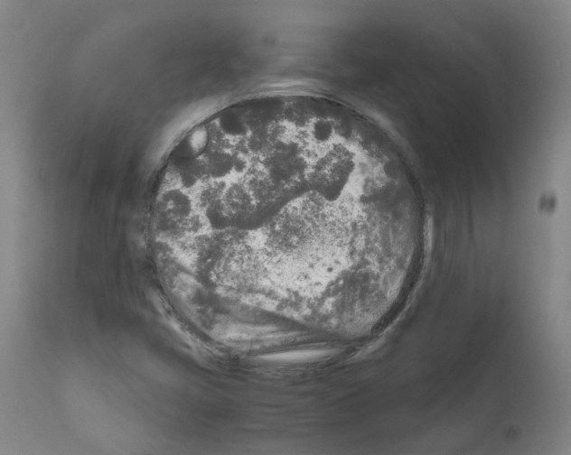 X0000110951405200907311030
