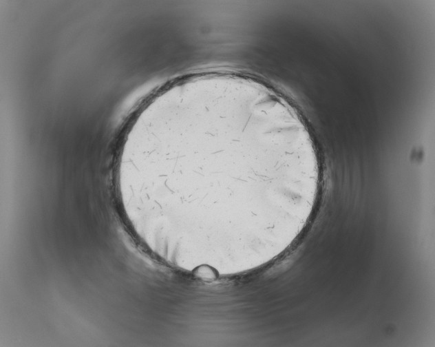 X0000110951406200907311030
