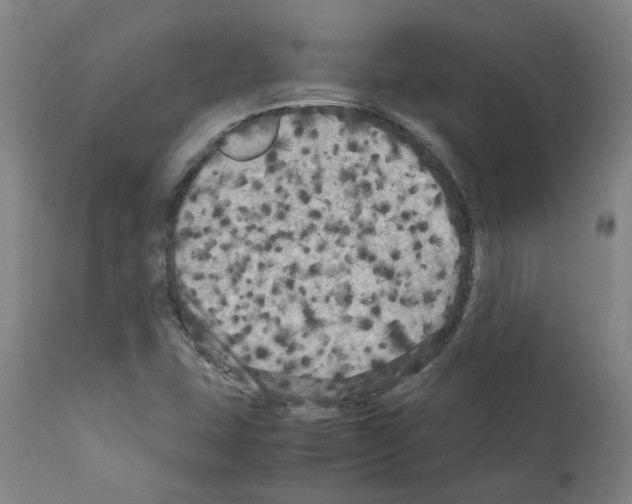 X0000110951407200907311030