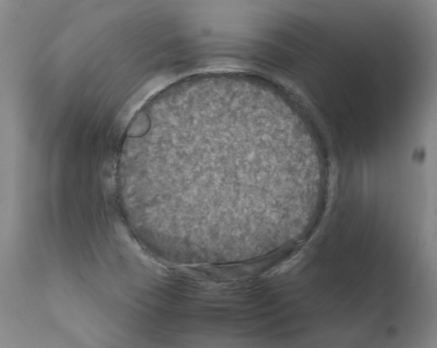 X0000110951409200907311030