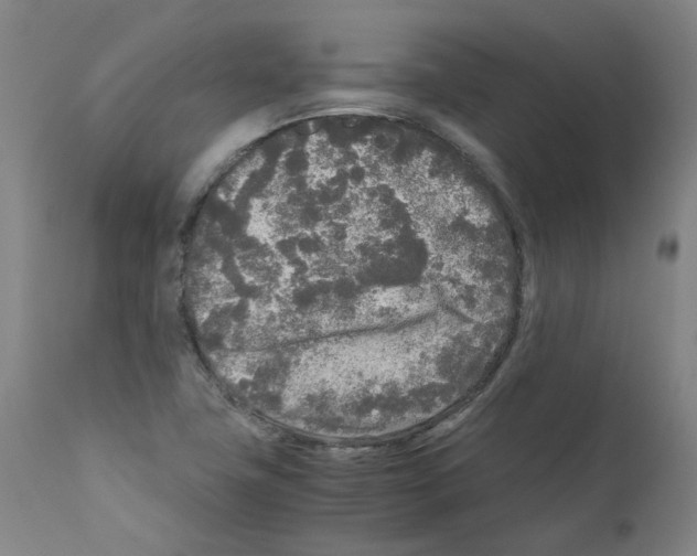 X0000110951411200907311030