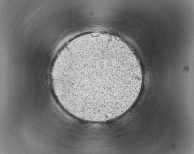 X0000110951412200907311030