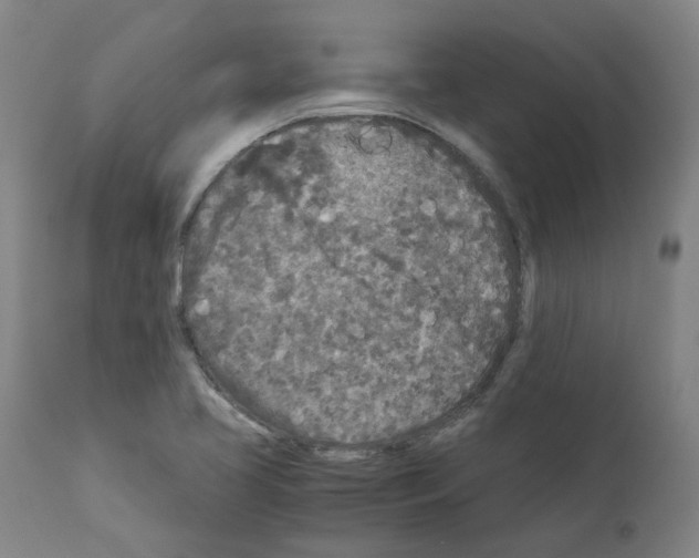 X0000110951413200907311030