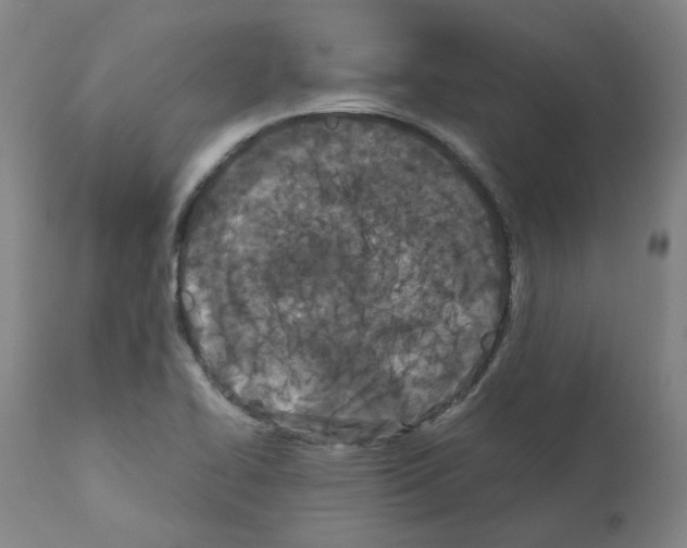X0000110951414200907311030