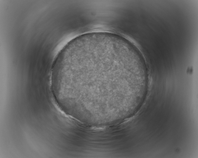 X0000110951415200907311030