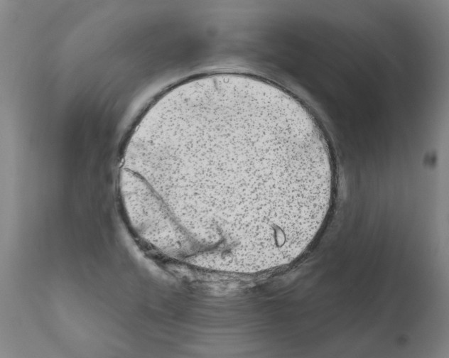 X0000110951416200907311030