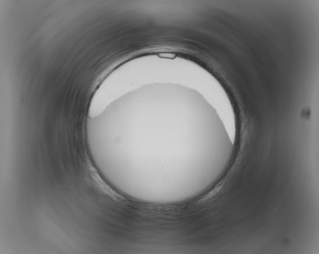 X0000110951417200907311030