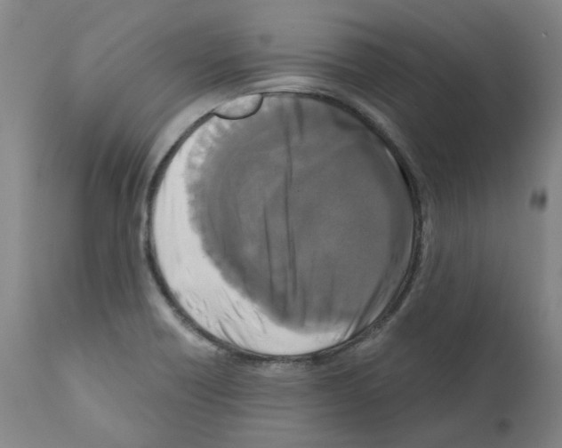 X0000110951418200907311030